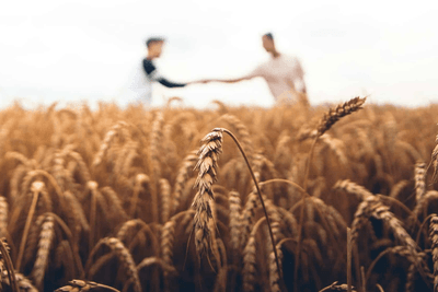 Smart finance strategies for seasonal businesses