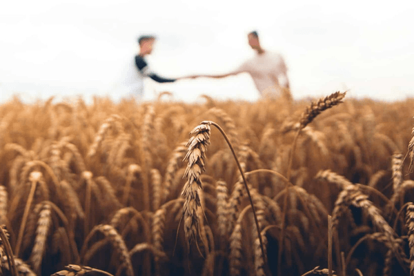 Smart finance strategies for seasonal businesses. Article by Attain Loans Altona